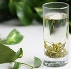 龙井茶是绿茶吗？