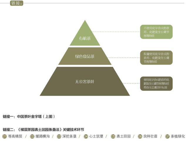 有机茶处于中国茶叶金字塔的巅峰