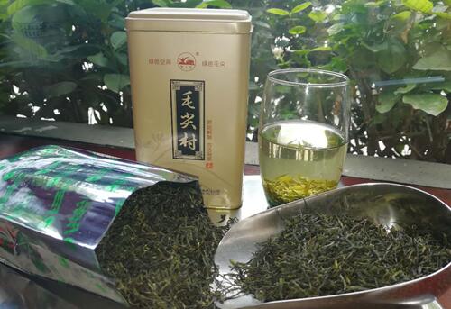 如何分辨信阳毛尖手工茶和机械茶　