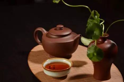 普洱茶圈里的茶痴是怎么炼成的？