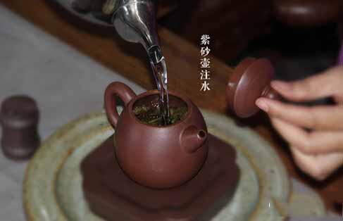 详解紫砂壶冲泡普洱茶的方法