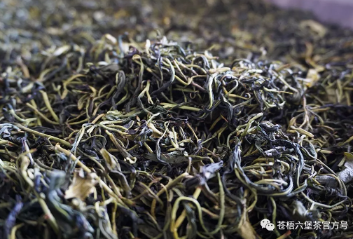 六堡茶（传统工艺）的品种分类