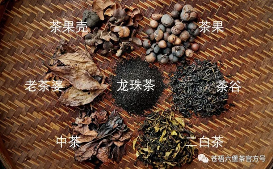 六堡茶（传统工艺）的品种分类