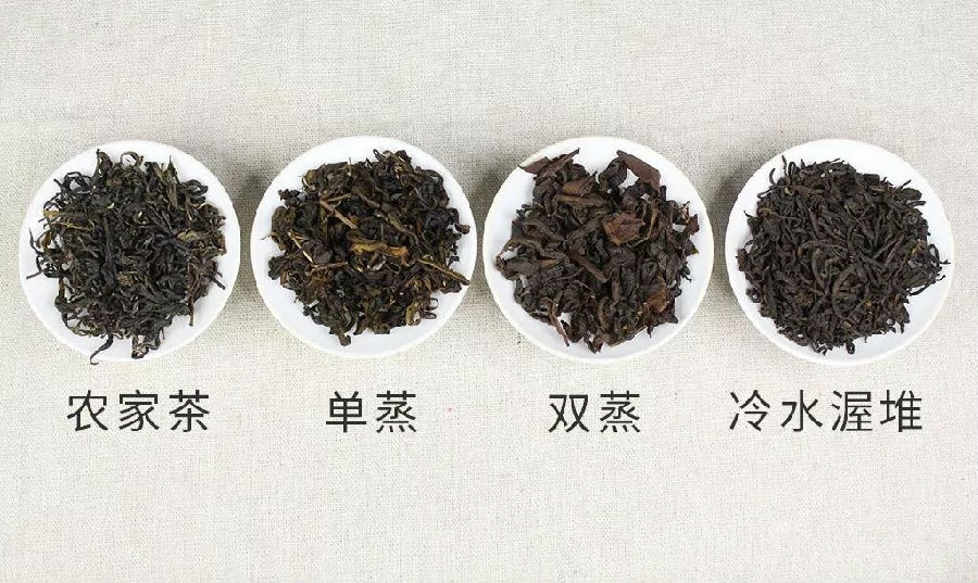 说法太多，该如何理解六堡茶的工艺？
