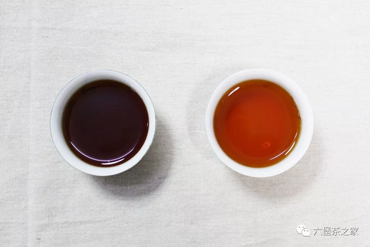 再谈六堡茶与普洱茶的区别