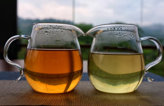 六堡生茶是绿茶？