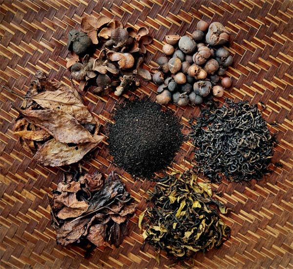 六堡茶的品种分类