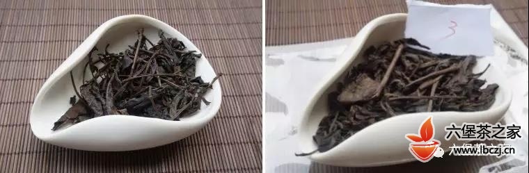 六堡农家茶与越南河江茶的区别