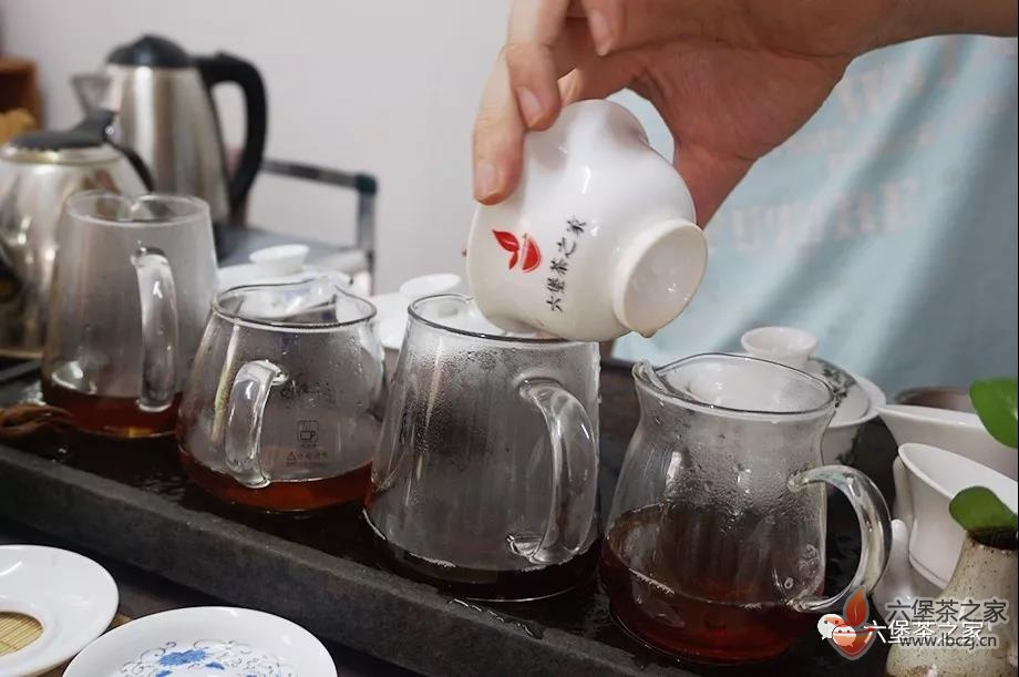六堡农家茶与越南河江茶的区别