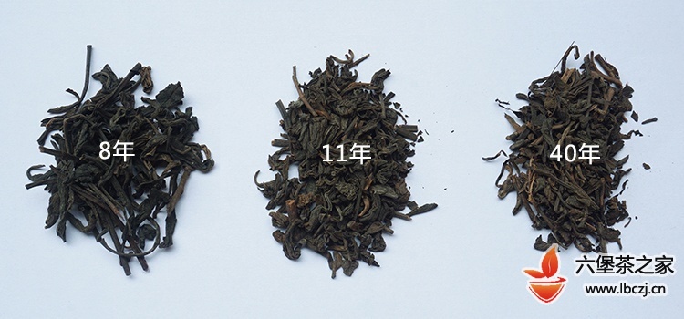 三款不同原料、年份的六堡茶对冲揭秘神秘“槟榔香”