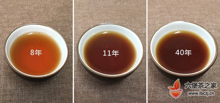 三款不同原料、年份的六堡茶对冲揭秘神秘“槟榔香”