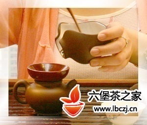 紫砂壶冲泡六堡茶的方法与步骤