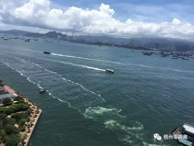 茶船古道寻迹•境外行⑧：自从梧州有了新式货轮，六堡茶运抵香港大大提速
