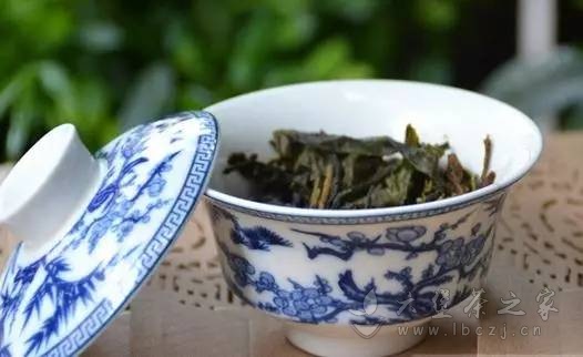 什么是真正的野生六堡茶？