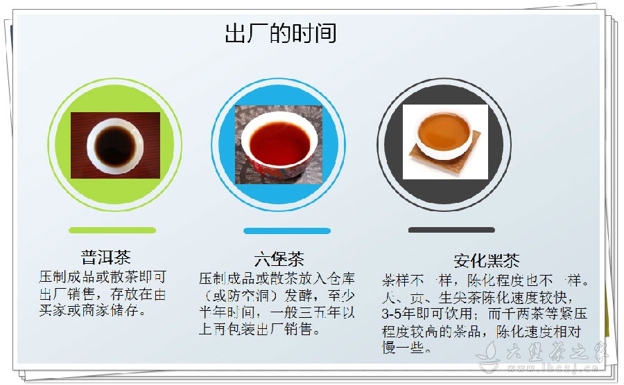 同等年份的普洱茶、六堡茶和安化黑茶的比较