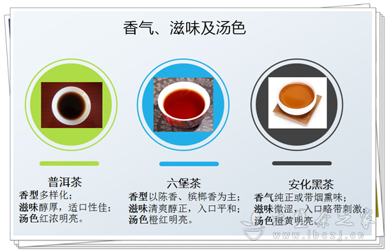 同等年份的普洱茶、六堡茶和安化黑茶的比较