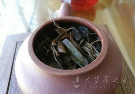 “茶船古道”散落的明珠——不倚村