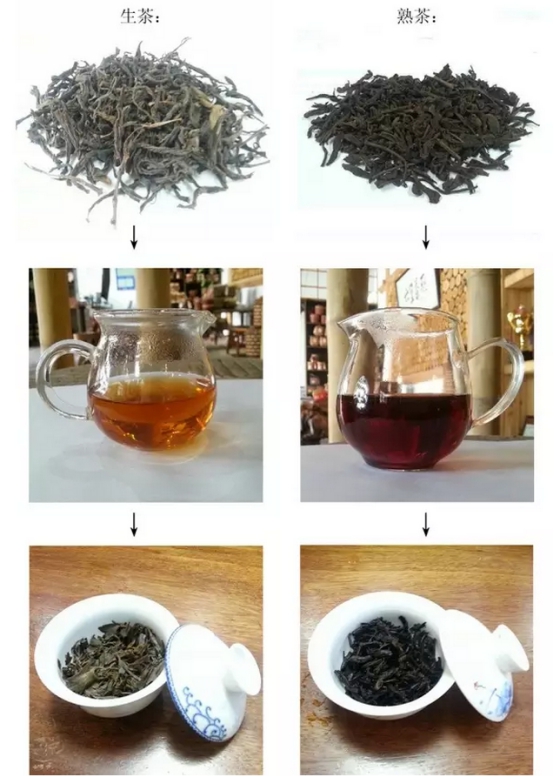 传统工艺六堡茶和现代工艺六堡茶的碰撞