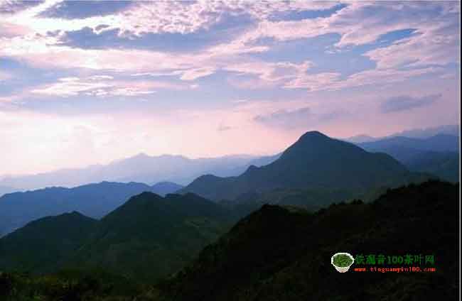 安溪铁观音原产地，这12座茶山您了解了吗？