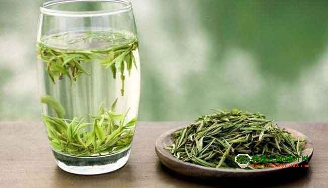 绿茶和铁观音的区别，绿茶与铁观音哪个好？