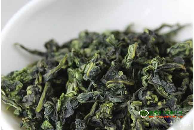 铁观音秋茶纯种特征新旧茶如何鉴别
