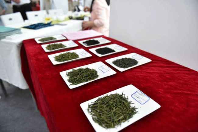 第十二届西安茶博会开幕，福建多家茶企参展
