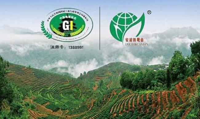 “安溪铁观音”区域品牌（地理标志）价值全国茶行业榜首