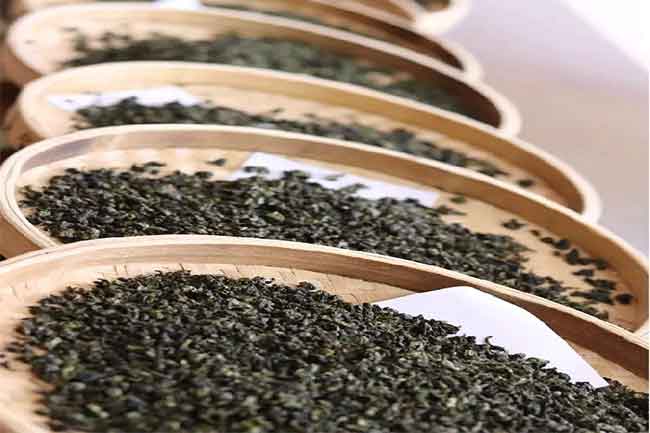 福建安溪茶哪个品种好？