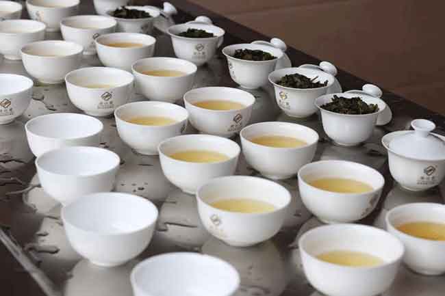 “芦田梅占”香飘“一带一路”，从“杂菜茶”到“优质茶”的蜕变