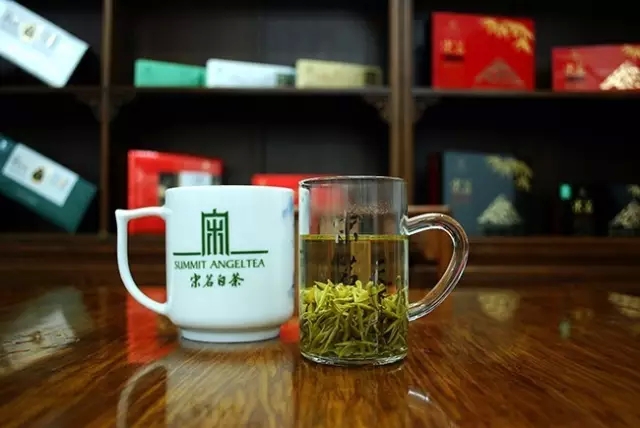 中国名茶后起之秀——安吉白茶