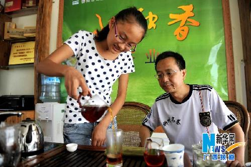 广西融水：“野生红茶树”茶叶飘香海内外