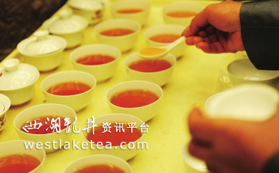 泡茶英雄会年度大赛红茶专场开始报名