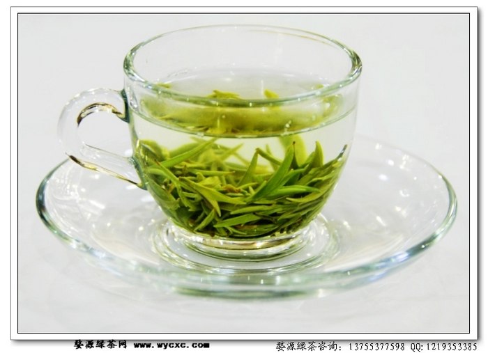高山菊花,高山绿茶