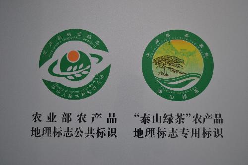 国家地理标志成“泰山绿茶”身份证