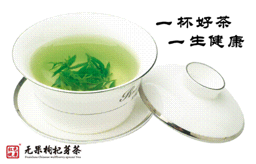 无果枸杞芽茶—中国蒸青绿茶功效王