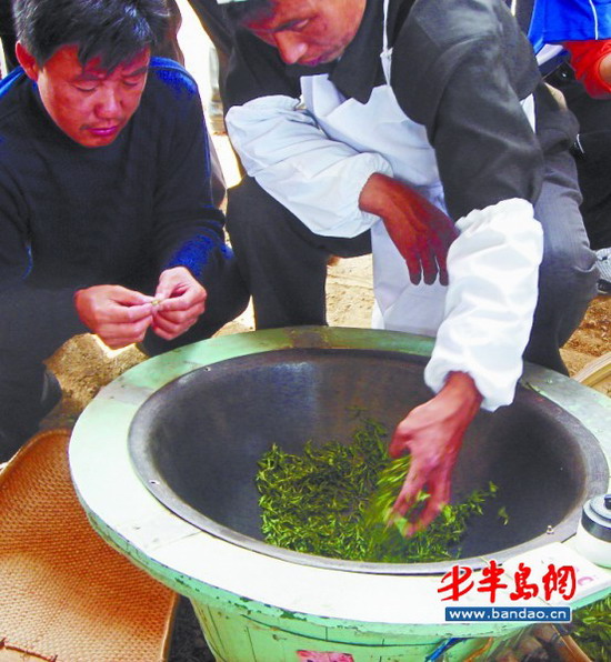 胶南海青致力打造“江北绿茶第一镇”