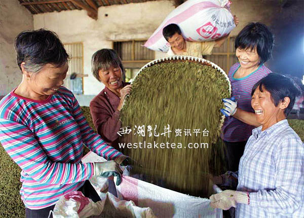整合支农资金撬动婺源绿茶产业发展杠杆(图)