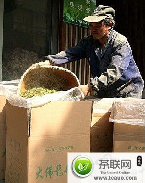 浙江：绿茶指数成晴雨伞