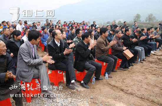印江县引资建设白茶基地产值将超1.5亿