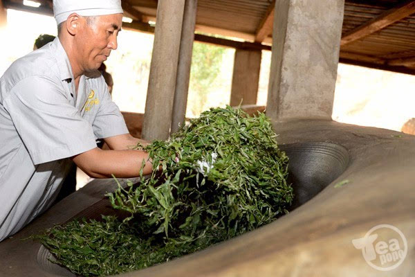 2015年普洱茶行业的情况到底有多糟？