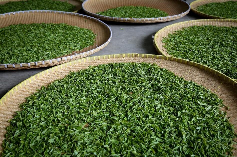 雨花茶是绿茶炒青中的珍品