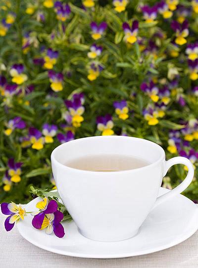 春夏之交最适宜喝下面的5种养生茶