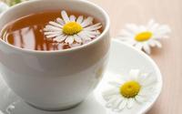 菊花茶有什么副作用？