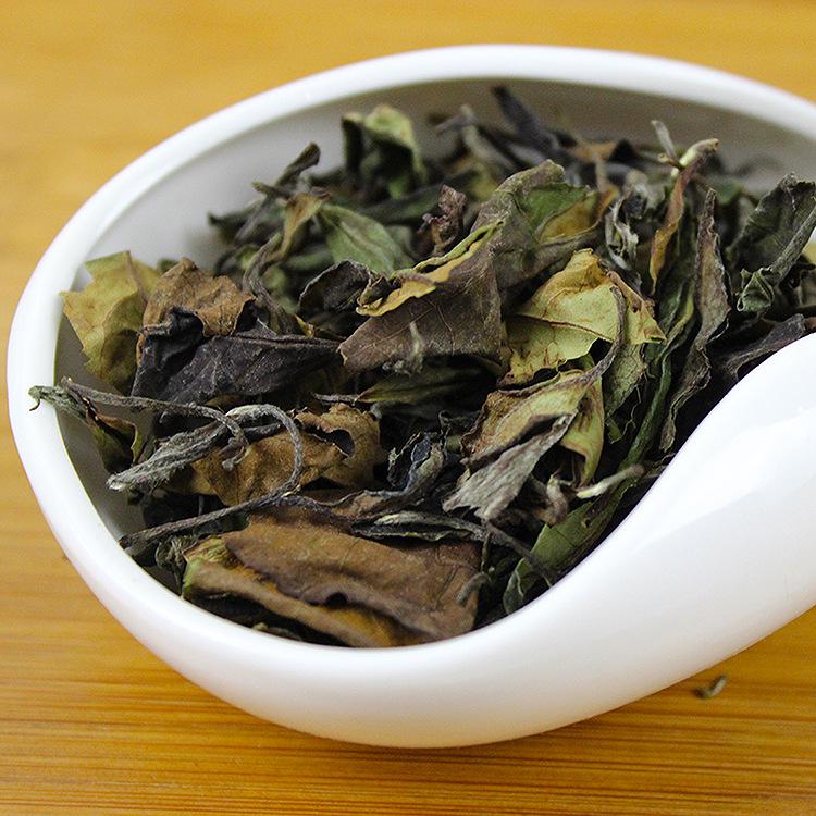 白茶茶树品种有哪些？