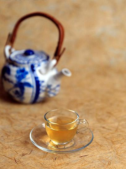 吃白茶记“品尝毫香美味喝出健康”