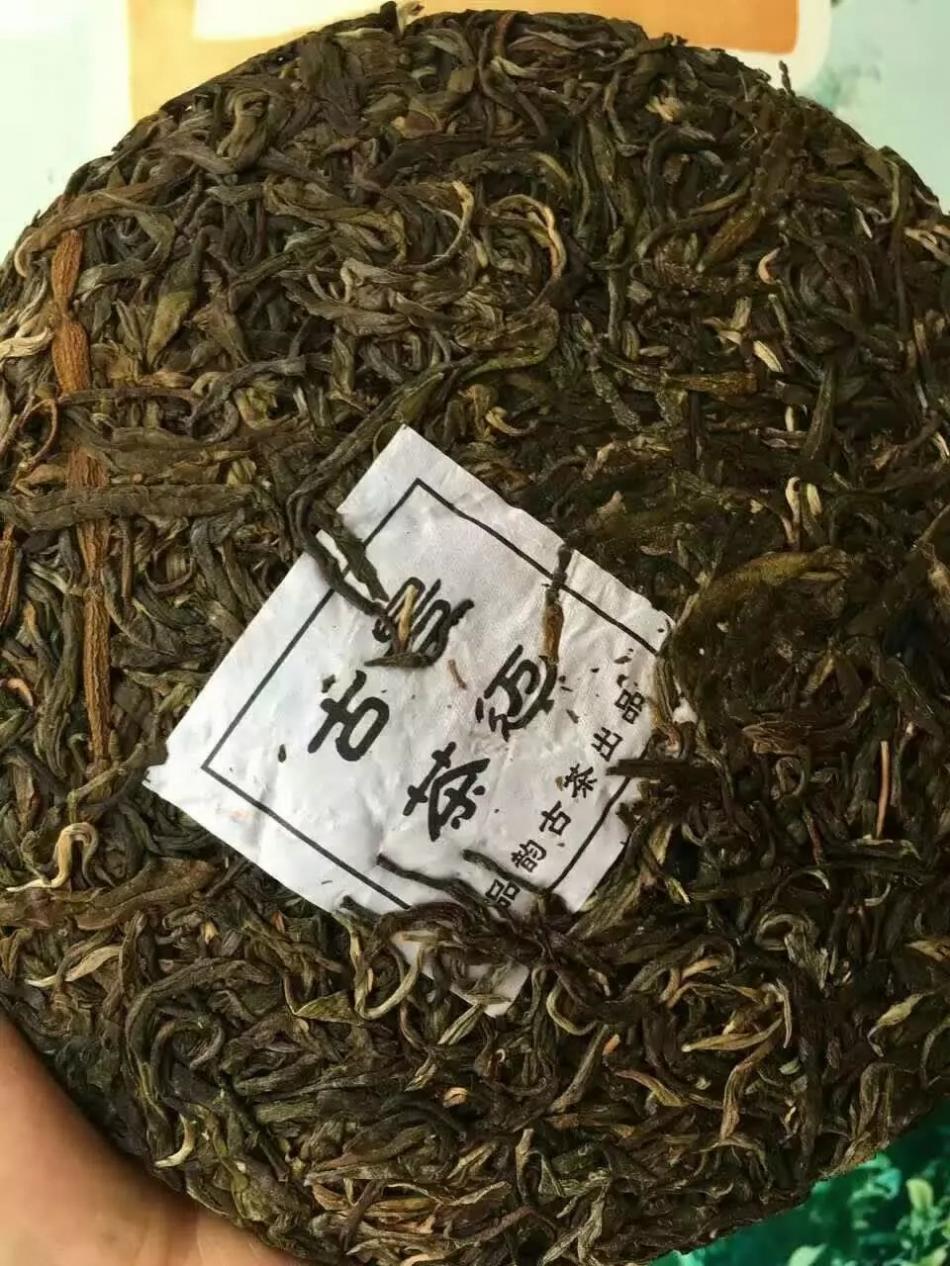 剖析东莞普洱茶藏茶模式