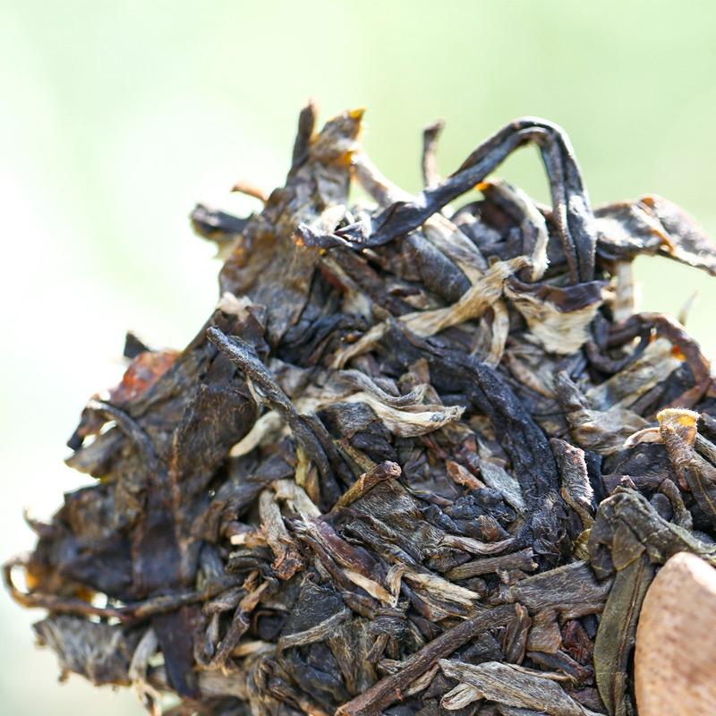 古树茶纯料茶的特点和形式种类介绍