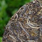 普洱茶生茶采摘及传统加工工艺流程
