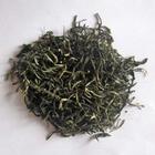 桂平西山茶叶鲜叶采摘标准要求