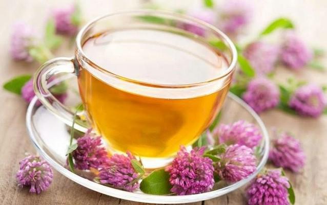 夏枯草绿茶清热平肝，降血压茶疗功效